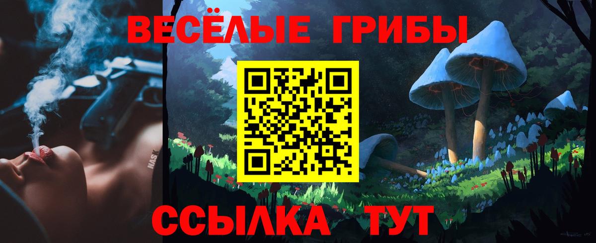 Галлюциногенные грибы GOLDEN TEACHER  Вход с VPN  сколько стоит  Камышлов  Галлюциногенные грибы ЛСД 