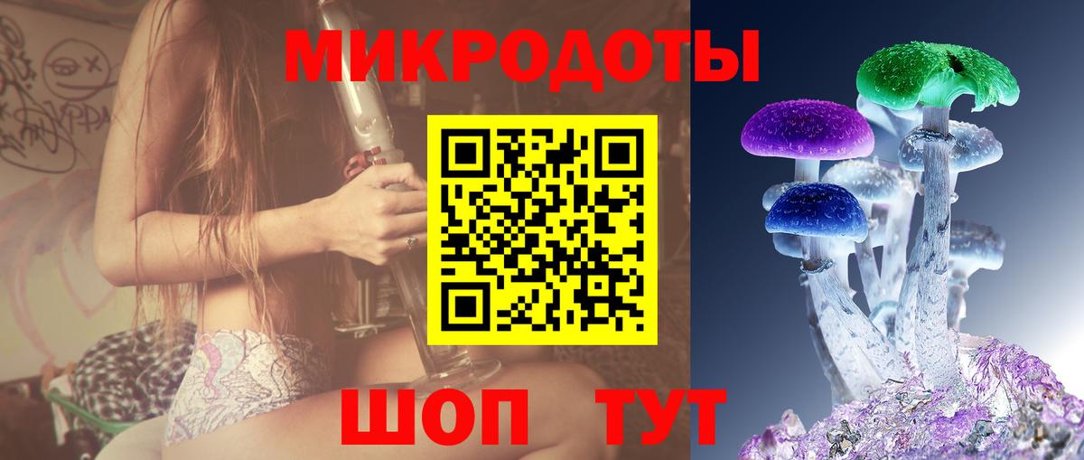 Галлюциногенные грибы Cubensis Камышлов